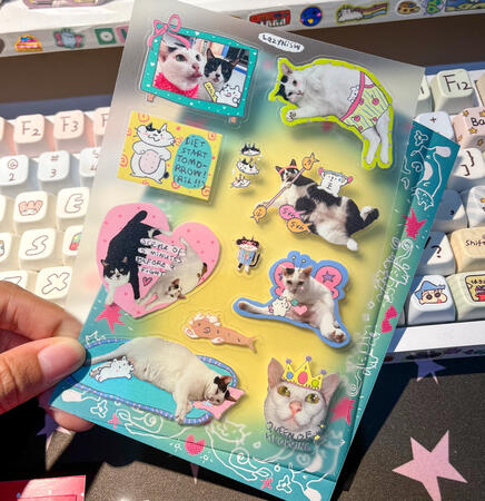 CATS STICKERS